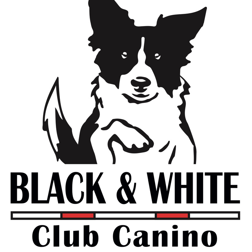 Black & White | Club Canino